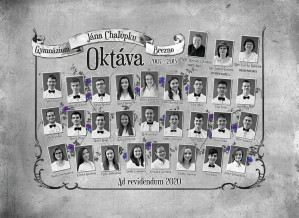 Art - Tablo na plátne 5070: kvety