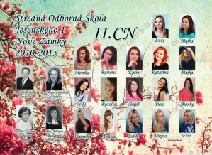 Art - Tablo na plátne 562: kvety, modré