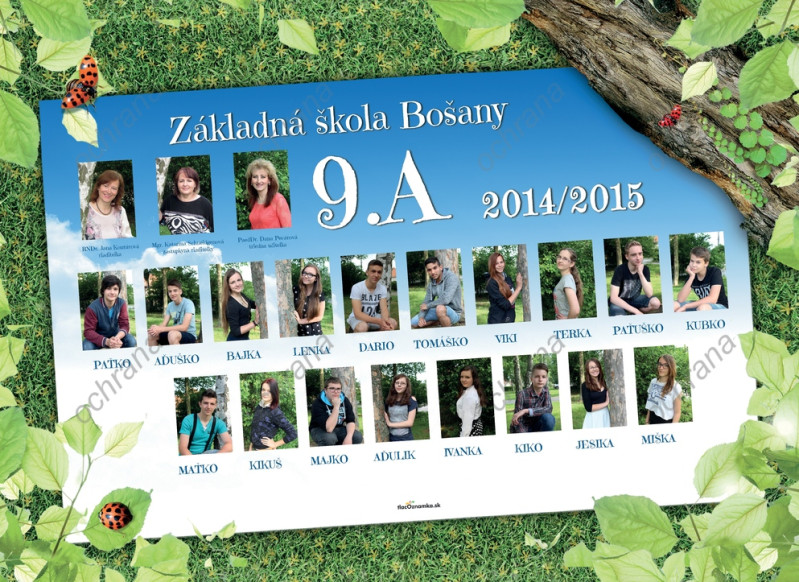 Art - Tablo na plátne 575: príroda, zelené