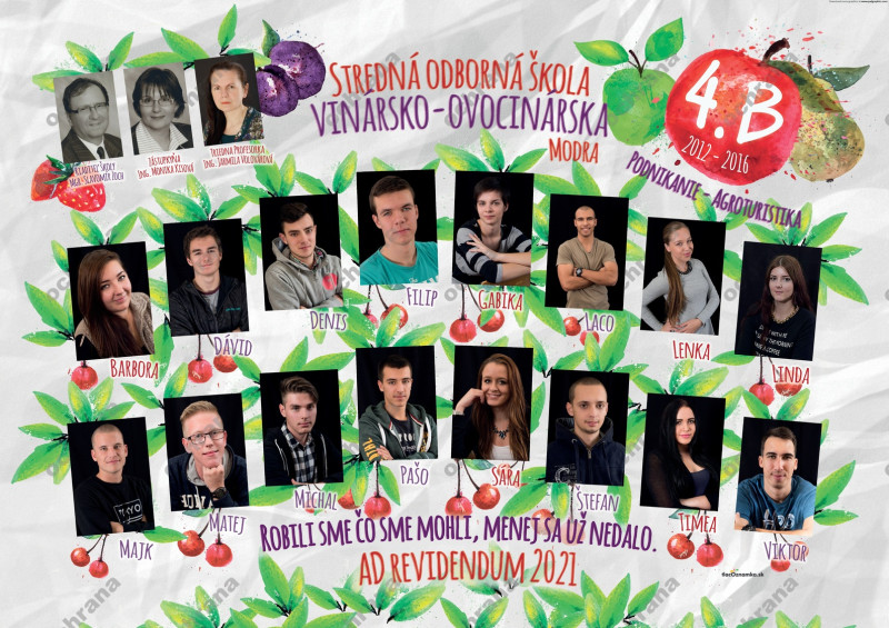 Style - Tablo v ráme 5066: ovocie