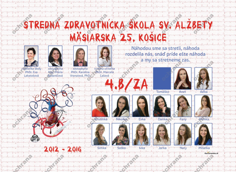 Style - Tablo v ráme 2052a: zdravotná, kostra