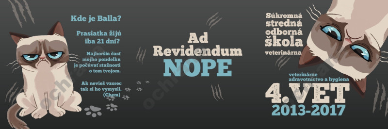 Oznamka 6148: mačka, zvieratá Oznamka 6148: mačka, zvieratá