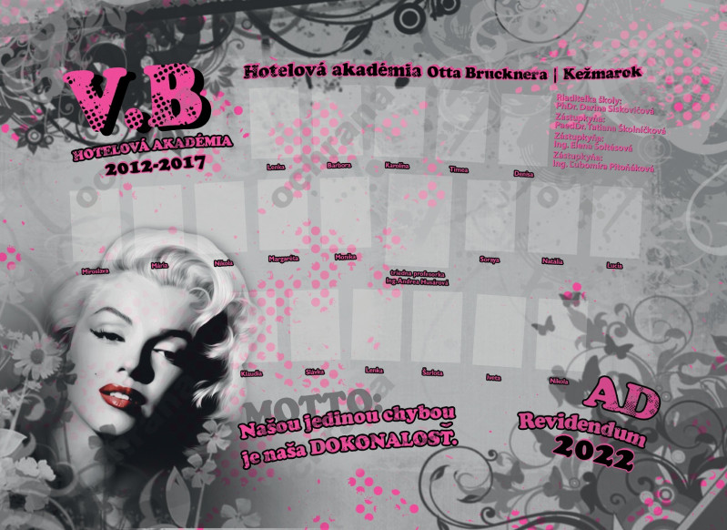 Poster - Tablo plagát 5055: kozmetička, kaderníčka