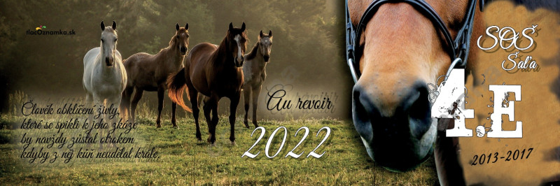 Oznamka 6113: kone, veterinár Oznamka 6113: kone, veterinár