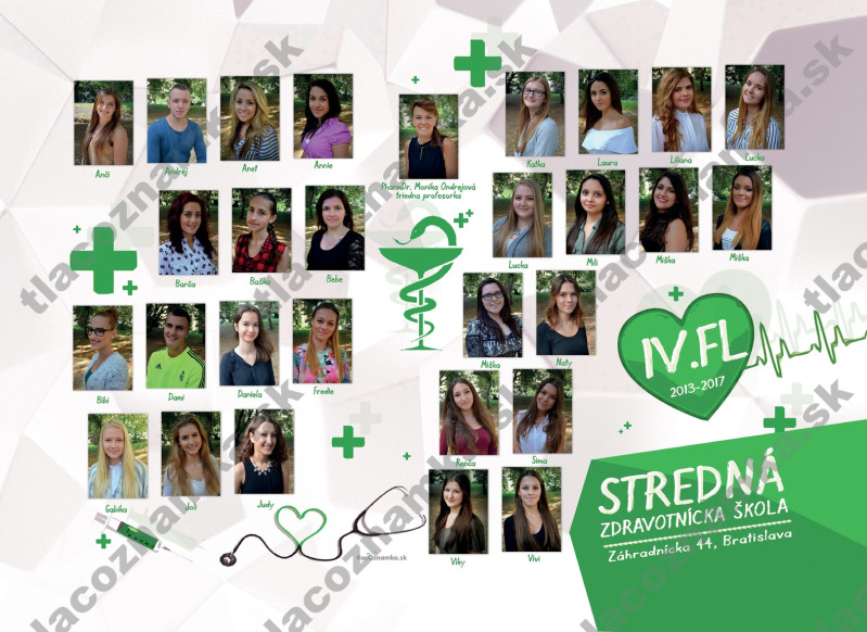 Style - Tablo v ráme 6039a: lekárnik, zdravotná