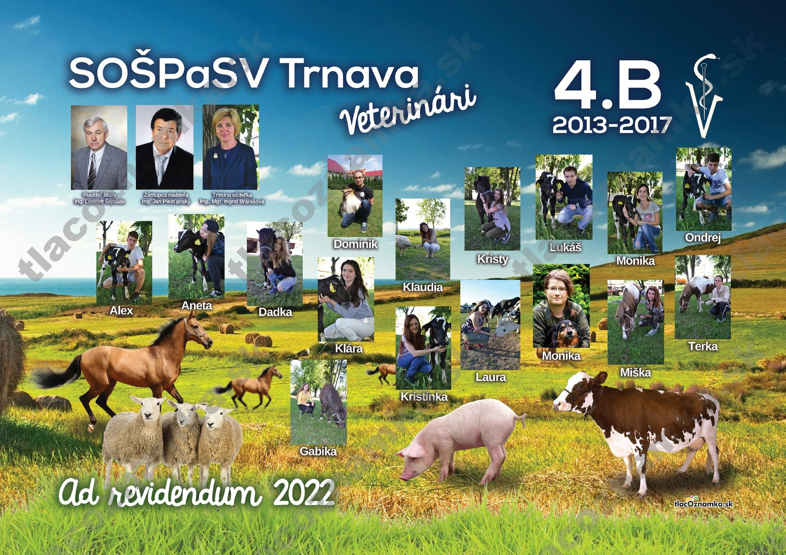 Poster - Tablo plagát 5081: poľnohospodárska, pole