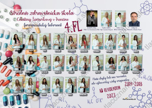 Art - Tablo na plátne 6048: zdravotná, zdravotnícke