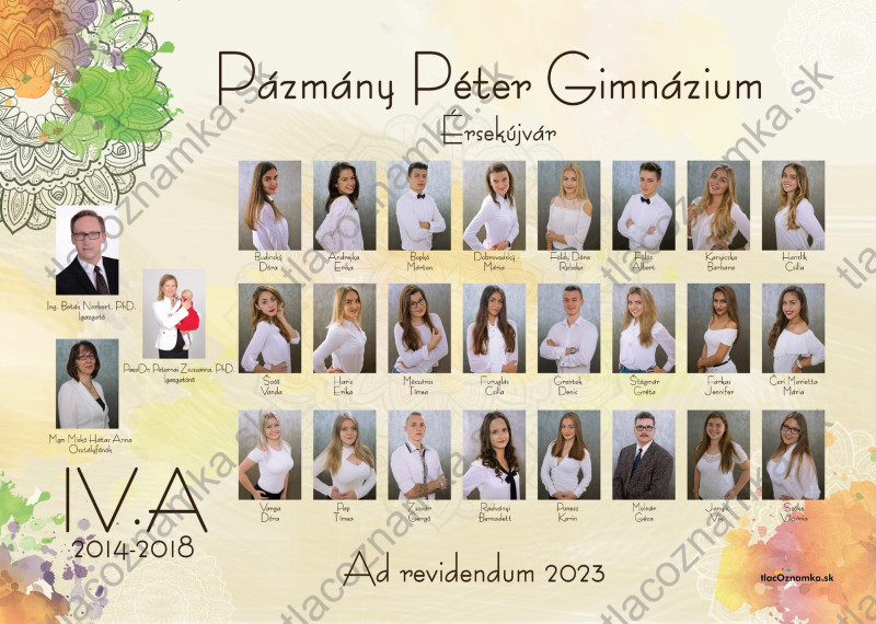 Smart - Tablo na doske 6041: ornamenty, kvety