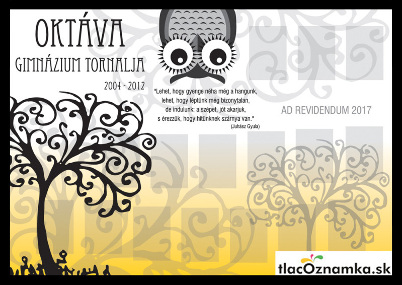 Art - Tablo na plátne 43: sova, učiteľka