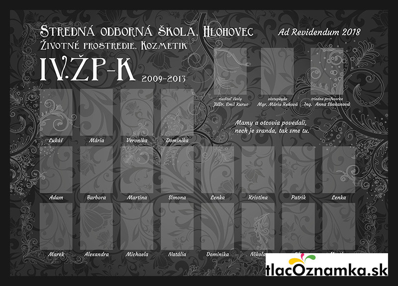 Style - Tablo v ráme 683c