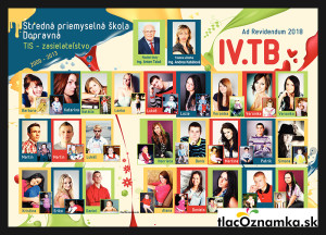 Art - Tablo na plátne 692c: umelecká, maliar