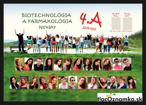 Art - Tablo na plátne 2046