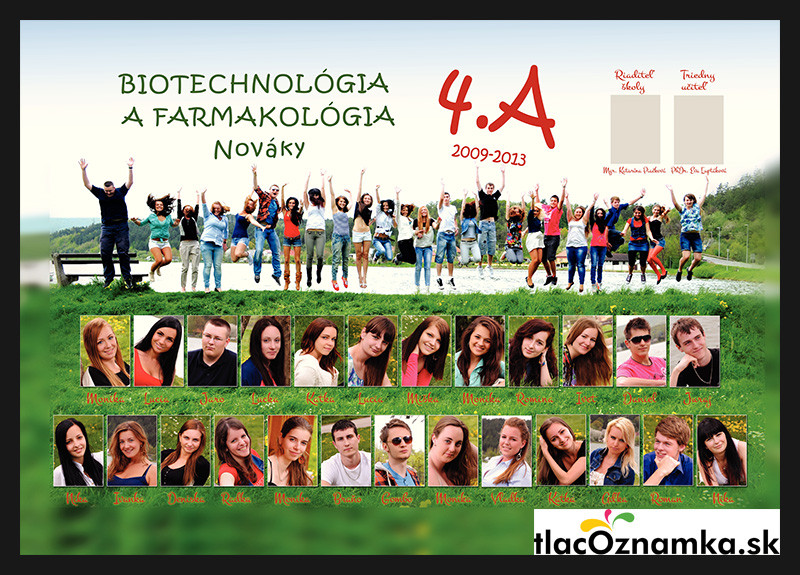 Style - Tablo v ráme 2046