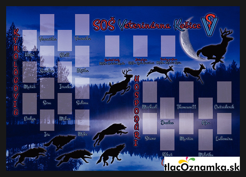 Style - Tablo v ráme 2051: lesnícka, les