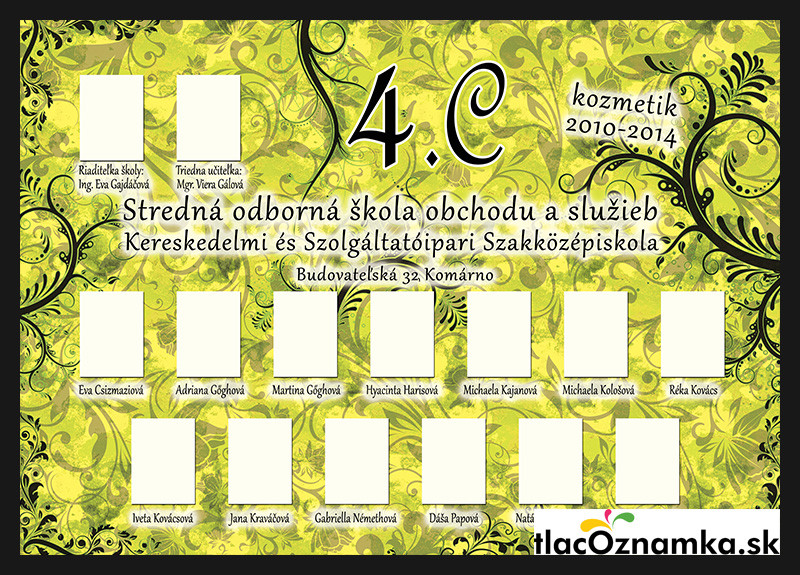 Style - Tablo v ráme 683c