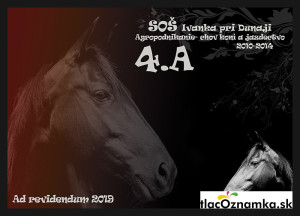 Art - Tablo na plátne 2053: kone, veterinár