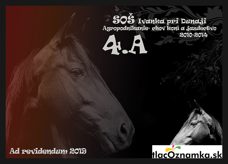 Style - Tablo v ráme 2053: kone, veterinár