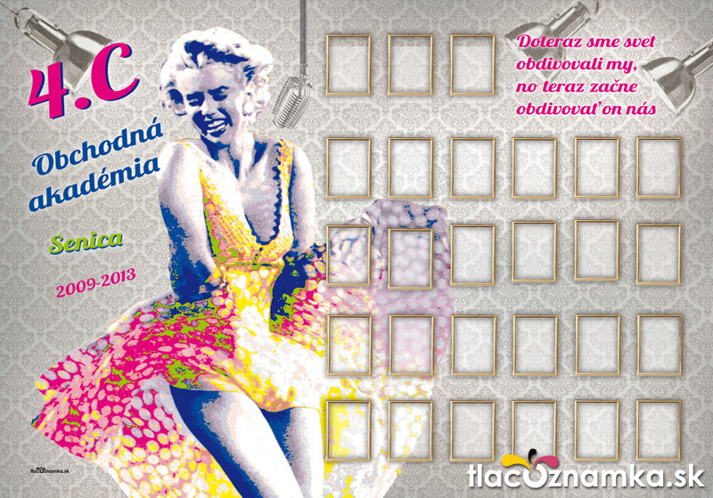 Style - Tablo v ráme 1028a